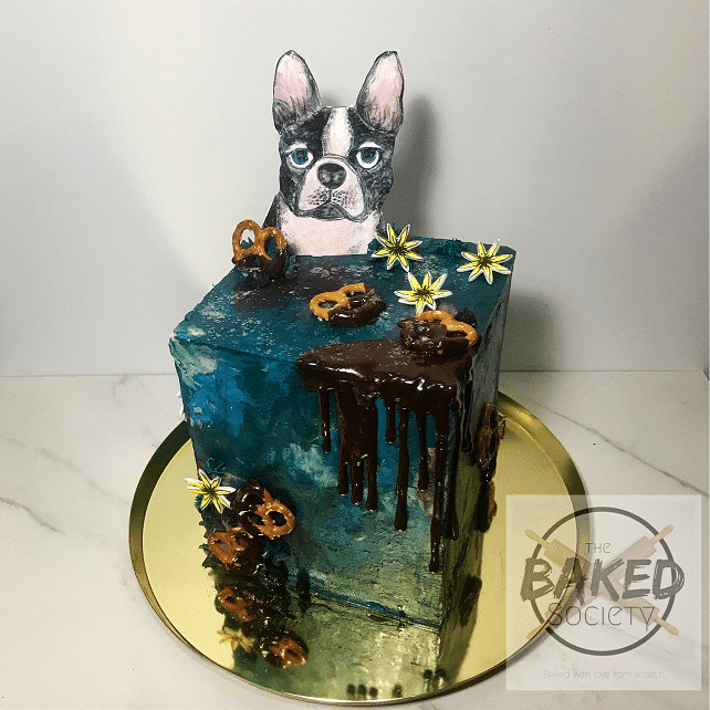 french-bulldog-cake-drip-painted-fondant